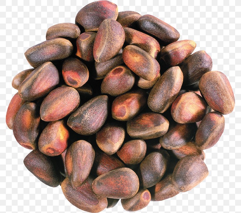 Pine Nut Nuts Peanut Galipot, PNG, 781x725px, Nut, Abies Sibirica, Bean, Cedar, Cocoa Bean Download Free