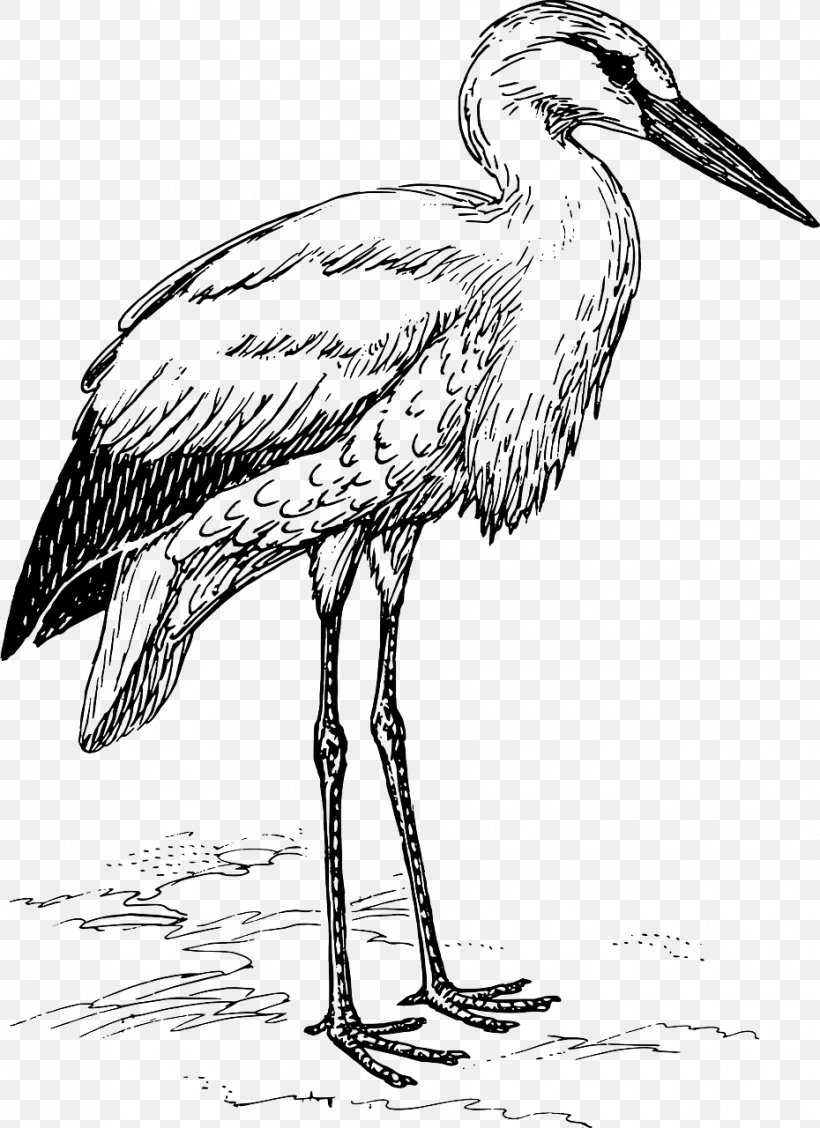 White Stork Bird Clip Art, PNG, 930x1280px, White Stork, Art, Beak, Bird, Black And White Download Free