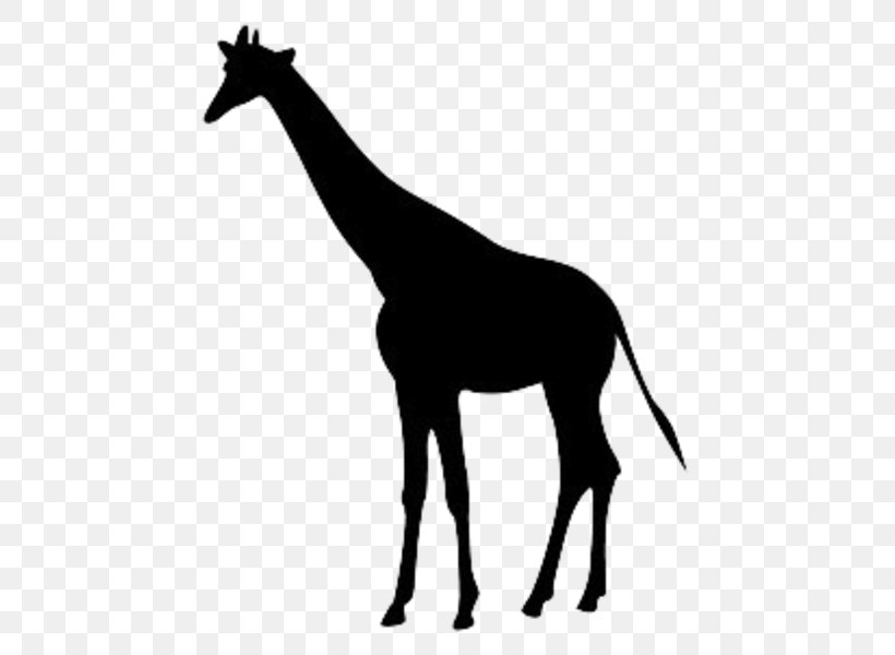 Giraffe Clip Art Mane Silhouette Vector Graphics, PNG, 600x600px, Giraffe, Art, Black And White, Colt, Digital Art Download Free
