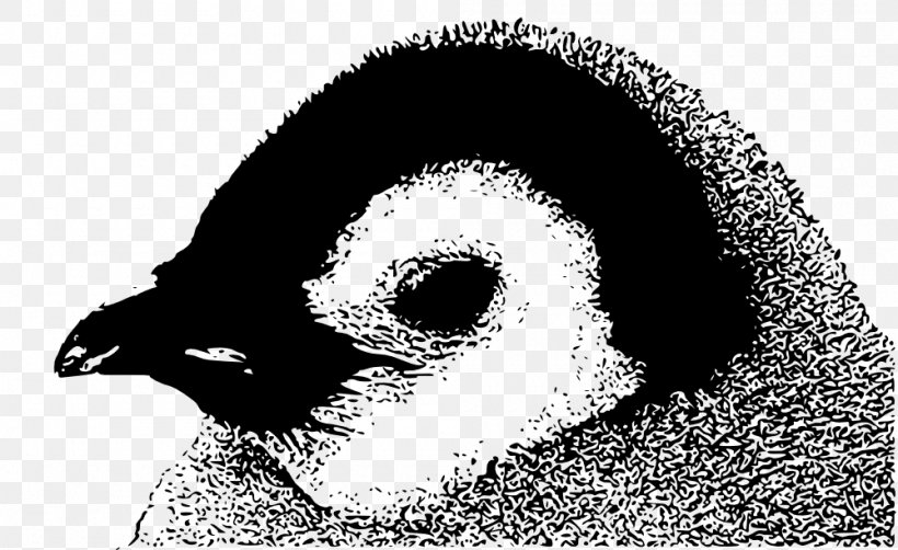 Penguin Chick Bird Emperor Penguin Clip Art, PNG, 1000x613px, Penguin, Beak, Bird, Black And White, Emperor Penguin Download Free