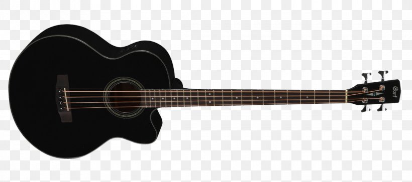 Twelve-string Guitar Acoustic-electric Guitar Bass Guitar Acoustic Guitar, PNG, 1140x505px, Watercolor, Cartoon, Flower, Frame, Heart Download Free