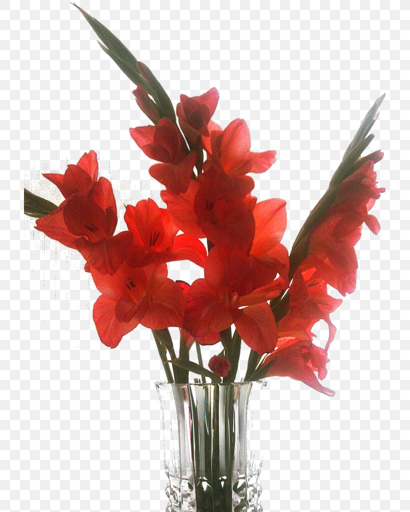 Gladiolus Vase Floral Design Cut Flowers Flower Bouquet, PNG, 723x1024px, Gladiolus, Artificial Flower, Cut Flowers, Desktop Metaphor, Flora Download Free