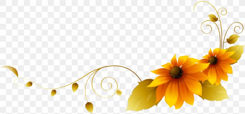 Holiday International Women's Day Flower 8 March, PNG, 1200x563px, 8 March, 2015, Holiday, Blog, Daisy Download Free