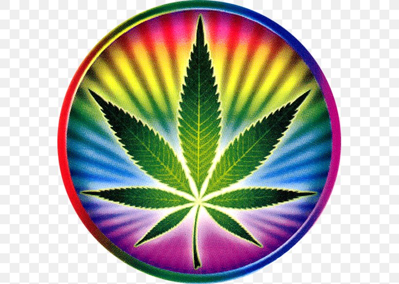 Medical Cannabis Psychedelic Drug Sticker Decal, PNG, 583x583px, 420 Day, Cannabis, Bong, Bumper Sticker, Decal Download Free