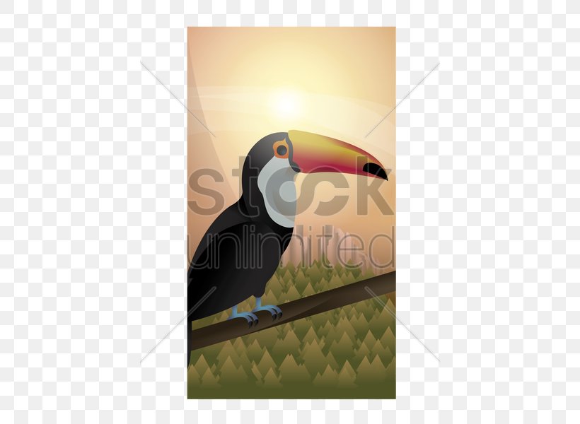 Toucan Beak Stock Photography, PNG, 424x600px, Toucan, Beak, Bird, Photography, Piciformes Download Free