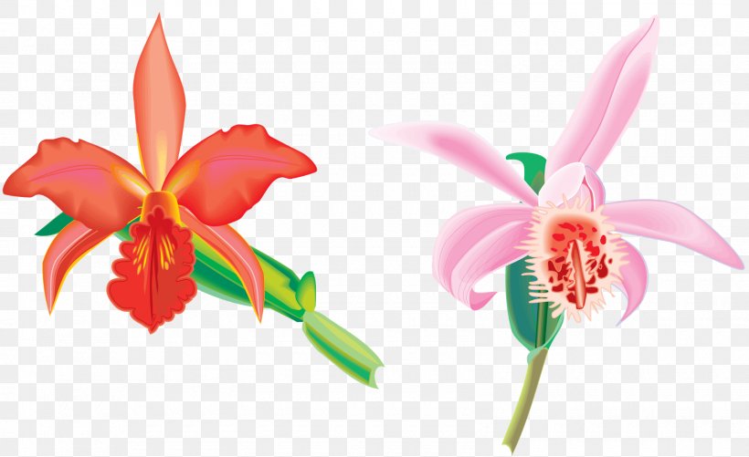 Animation Drawing Clip Art, PNG, 1600x979px, Animation, Cattleya, Cattleya Orchids, Cut Flowers, Dancinglady Orchid Download Free