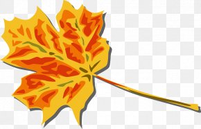 Folhagem - Autumn Leaf Color Clip Art PNG