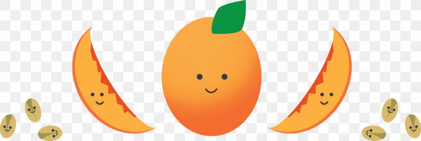 Desktop Wallpaper Computer Clip Art, PNG, 1805x607px, Computer, Food, Fruit, Orange, Smile Download Free