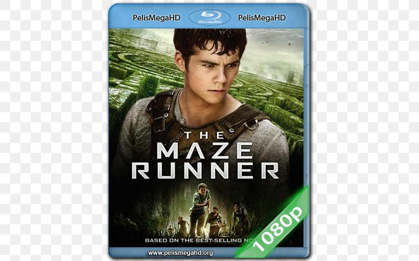 Dylan O'Brien The Maze Runner Blu-ray Disc Ultra HD Blu-ray, PNG, 512x512px, 4k Resolution, Maze Runner, Aml Ameen, Bluray Disc, Digital Copy Download Free