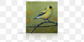 Gold Birdcage - Finches Macaw Parakeet Painting Feather PNG