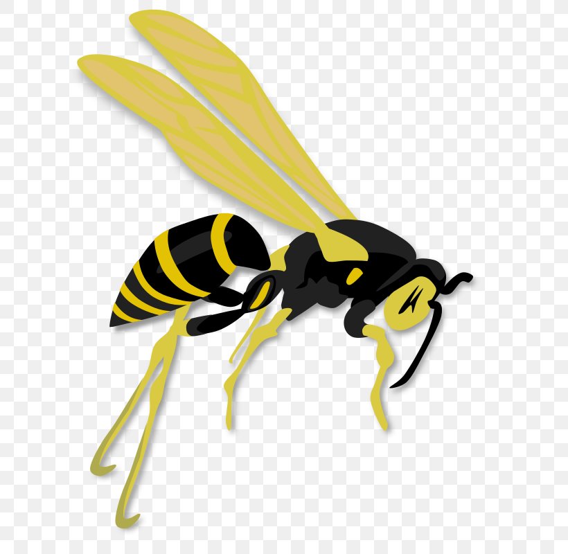 Hornet Bee Insect Wasp, PNG, 626x800px, Hornet, Art, Arthropod, Bee, Cartoon Download Free