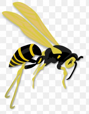 Wasp - Hornet Bee Insect Wasp PNG