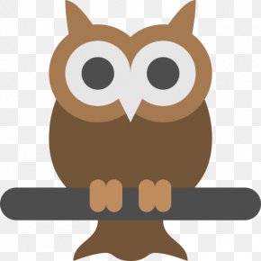Owls - Owl PNG