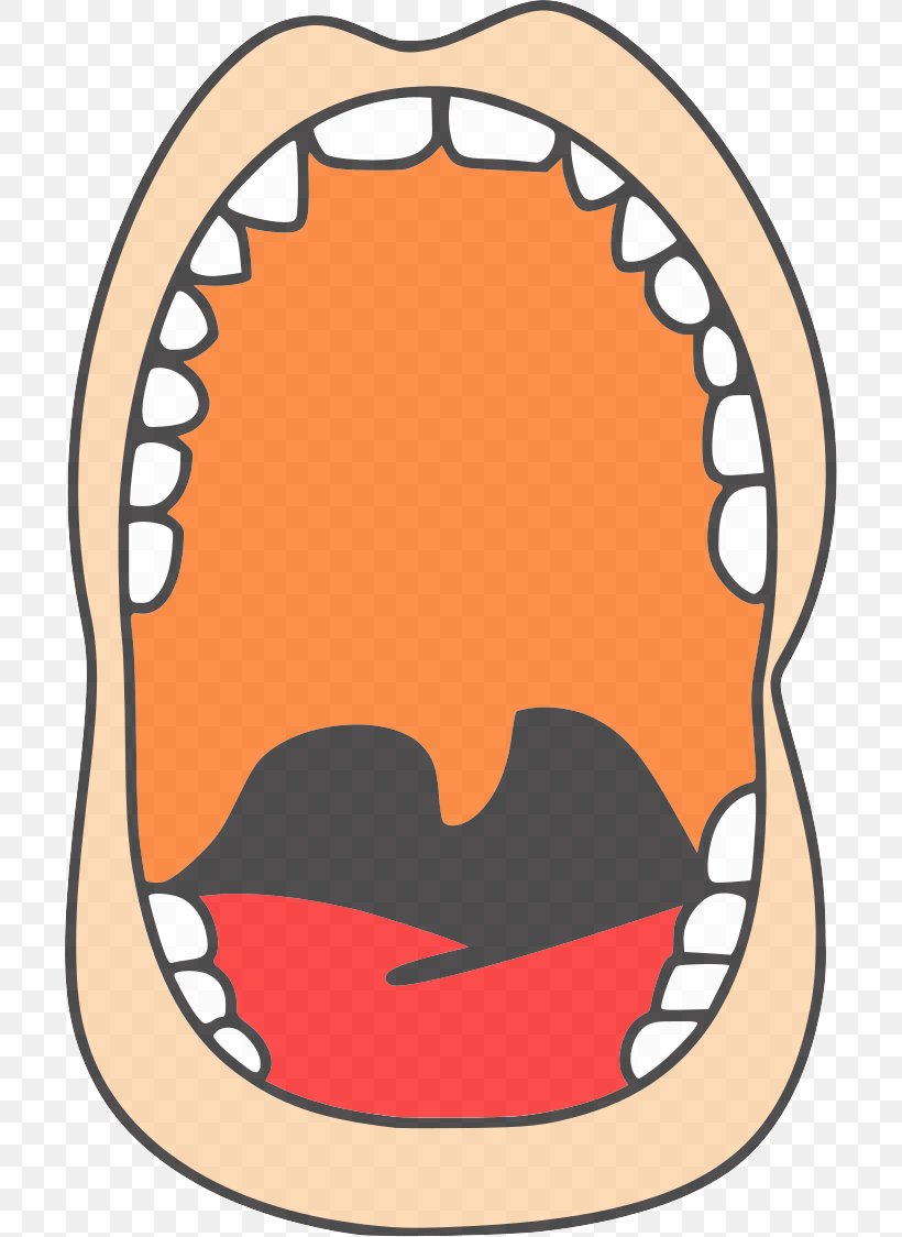 Jaw Mouth Clip Art Nose Cheek, PNG, 702x1124px, Jaw, Cheek, Lip, Mouth, Nose Download Free