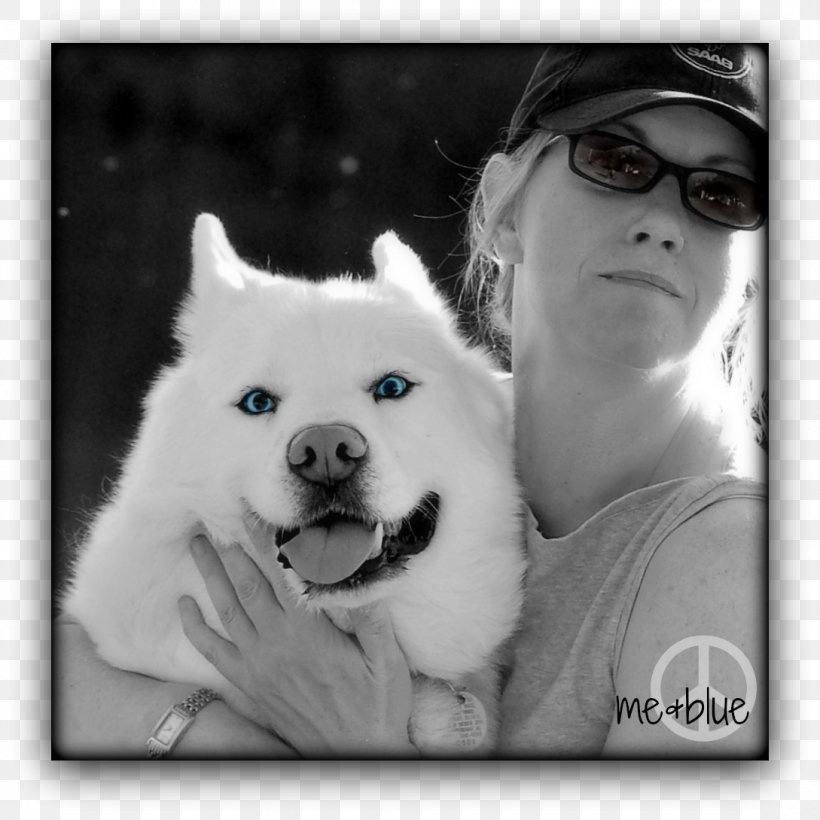 Sakhalin Husky American Eskimo Dog Siberian Husky Canadian Eskimo Dog Samoyed Dog, PNG, 1089x1089px, Sakhalin Husky, American Eskimo Dog, Black And White, Canadian Eskimo Dog, Carnivoran Download Free