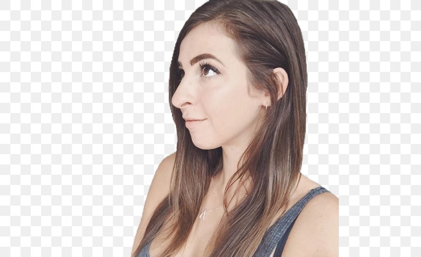 Gabbie Hanna Rhinoplasty Nose Face Plastic Surgery, PNG, 500x500px, Gabbie Hanna, Beauty, Brown Hair, Cheek, Chin Download Free