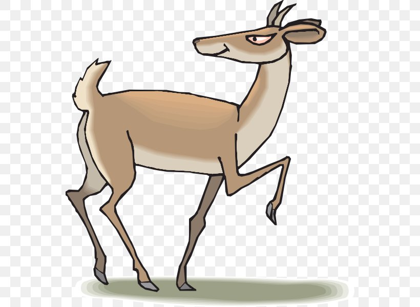 Antelope Pronghorn Deer Animal Illustrations Clip Art, PNG, 564x599px, Antelope, Animal Figure, Animal Illustrations, Antler, Camel Like Mammal Download Free