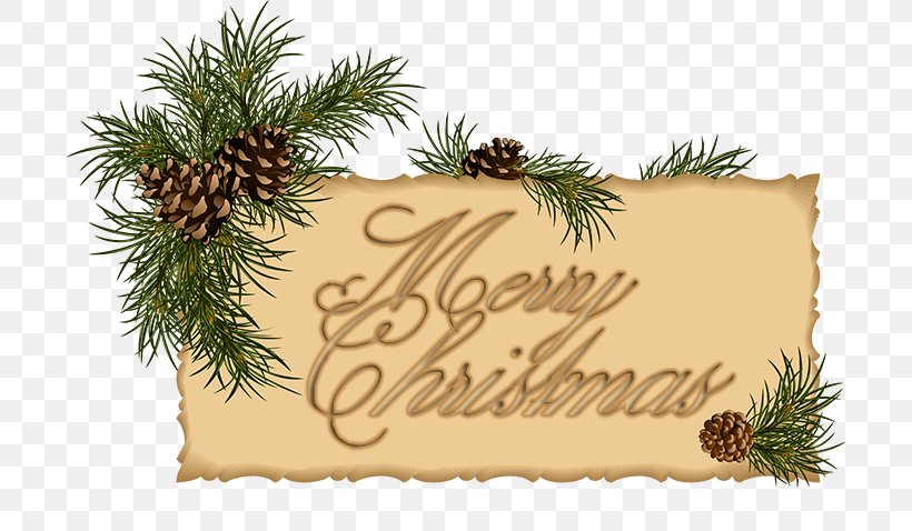 Christmas Ornament Santa Claus Christmas Card Christmas Decoration, PNG, 700x478px, Christmas Ornament, Branch, Christmas, Christmas Card, Christmas Decoration Download Free