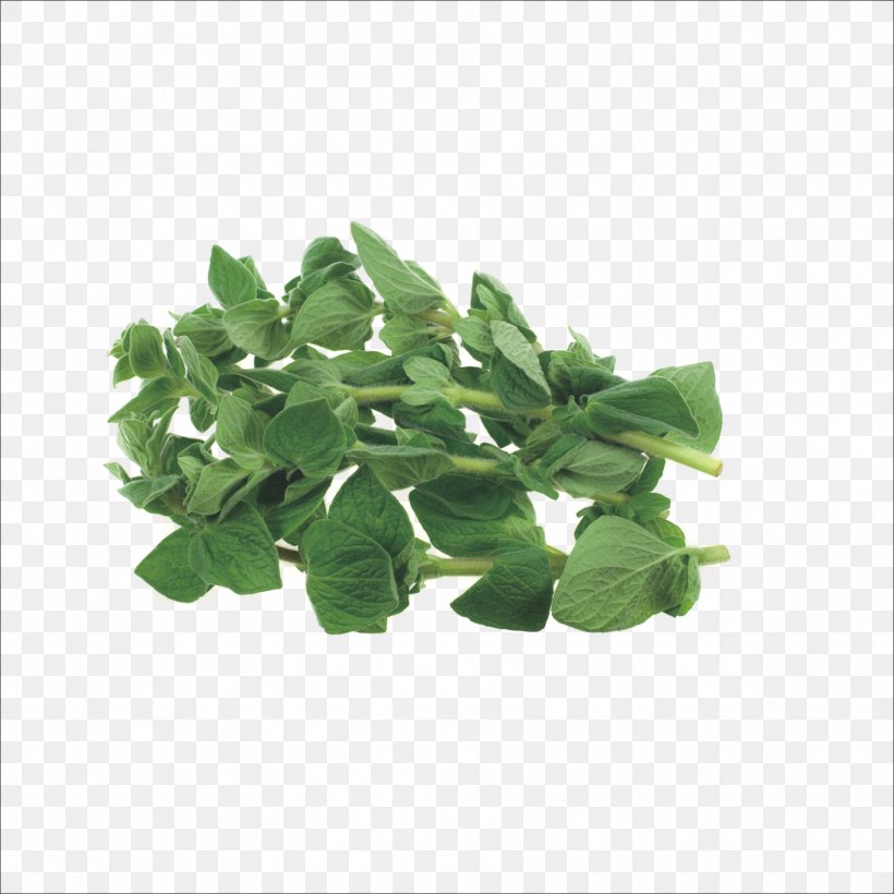 Herb Stock Photography Oregano Marjoram Thyme, PNG, 1773x1773px, Herb, Chervil, Chives, Featurepics, Grass Download Free