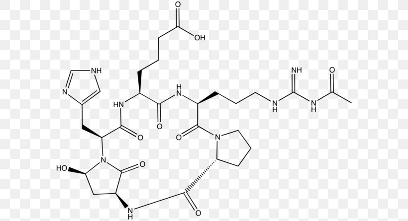 Argadin /m/02csf Chitinase Drawing, PNG, 600x445px, Argadin, Area, Area M, Black And White, Chitinase Download Free