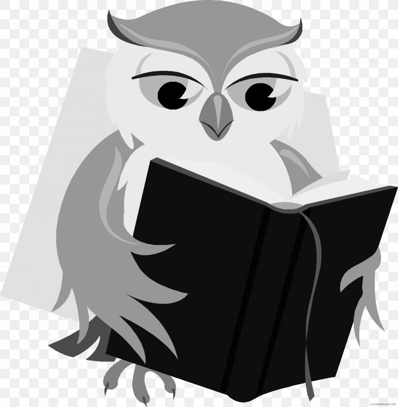 Baby Owl Book Reading Clip Art, PNG, 1902x1947px, Baby Owl, Author, Beak, Bird, Bird Of Prey Download Free