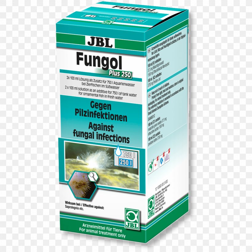 Infection Fungus Mycosis Pharmaceutical Drug Fish, PNG, 1940x1940px, Infection, Aquarium, Disease, Fish, Fish Fin Download Free