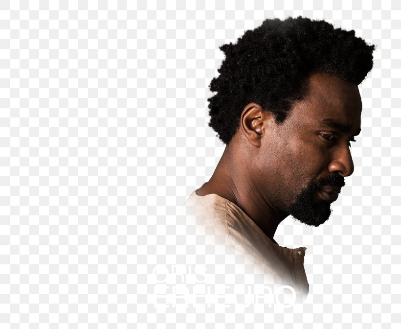 Microphone Chin Homo Sapiens Jaw Forehead, PNG, 810x672px, Microphone, Afro, Audio, Audio Equipment, Chin Download Free