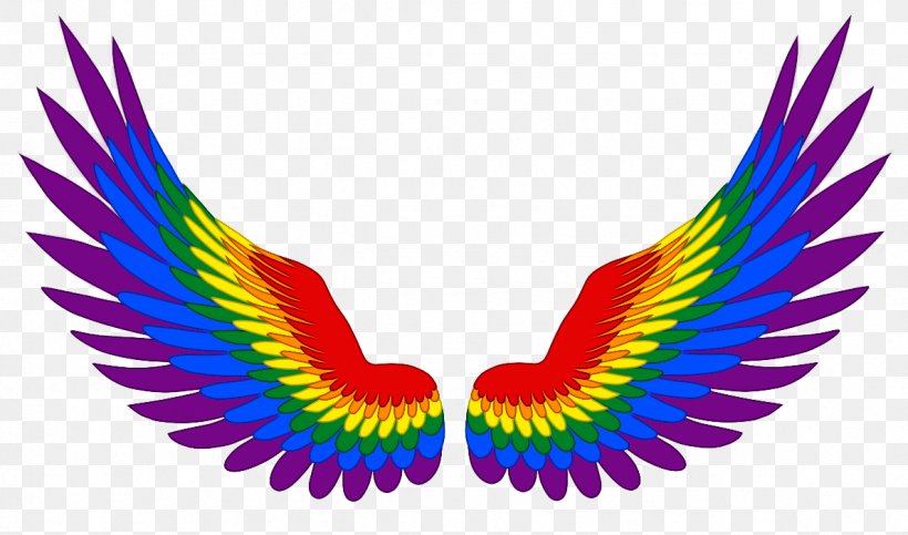 Gay Pride Transgender LGBT Genderqueer Bisexuality, PNG, 1188x700px, Gay Pride, Bisexuality, Fashion Accessory, Feather, Gender Download Free