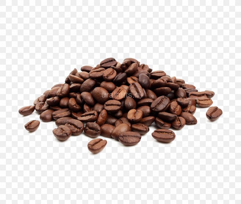 Coffee Bean Cafe Jamaican Blue Mountain Coffee Single-origin Coffee, PNG, 1102x933px, Coffee, Bean, Cafe, Caffeine, Chocolate Download Free