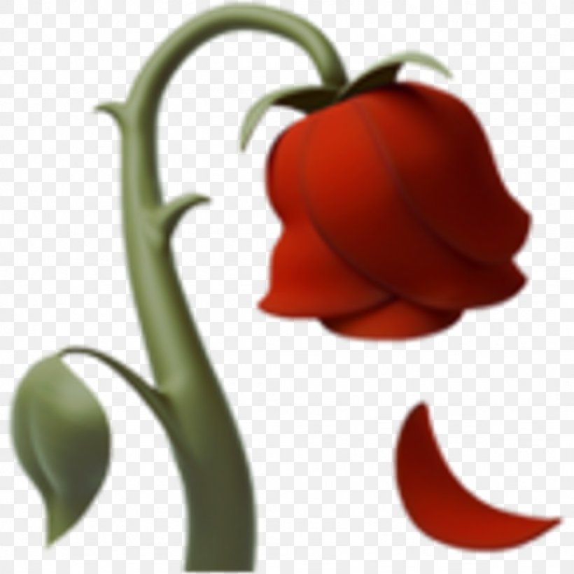 Emoji IPhone Sticker Rose, PNG, 1024x1024px, Emoji, Art Emoji, Emojipedia, Flower, Flowering Plant Download Free