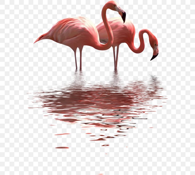 Paper Clip Painting Flamingo, PNG, 650x736px, Paper, Acrylic Paint, Art, Beak, Bird Download Free