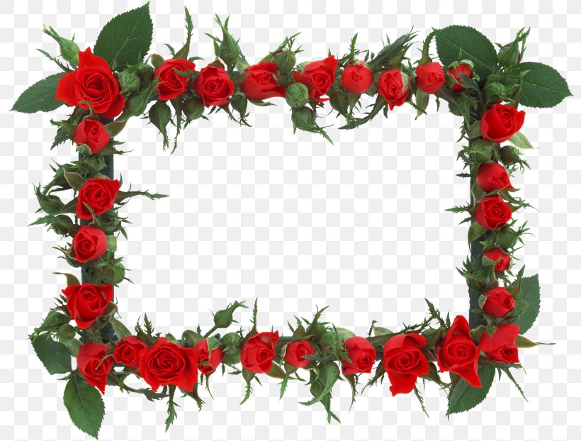 Rose Picture Frames Photography, PNG, 800x622px, Rose, Artificial Flower, Christmas Decoration, Cut Flowers, Decorative Arts Download Free