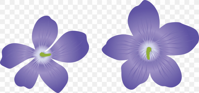 Violet Flower, PNG, 3000x1415px, Violet Flower, Biology, Cut Flowers, Flora, Flower Download Free