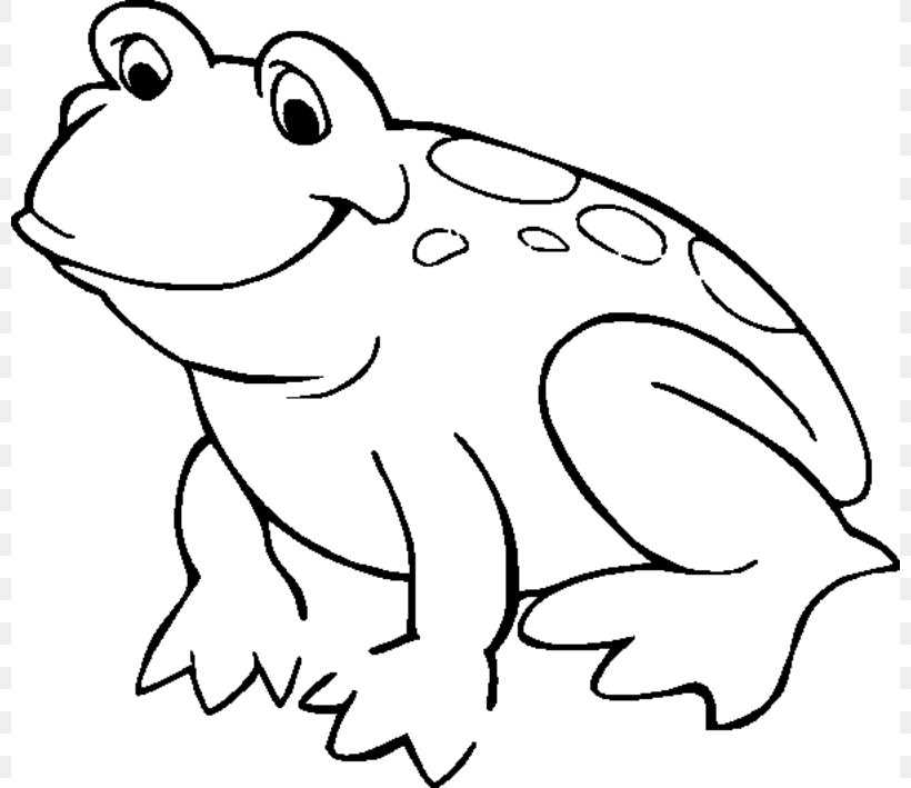 American Bullfrog Coloring Book Amphibian Child, PNG, 800x709px, Frog, Adult, American Bullfrog, Amphibian, Animal Figure Download Free