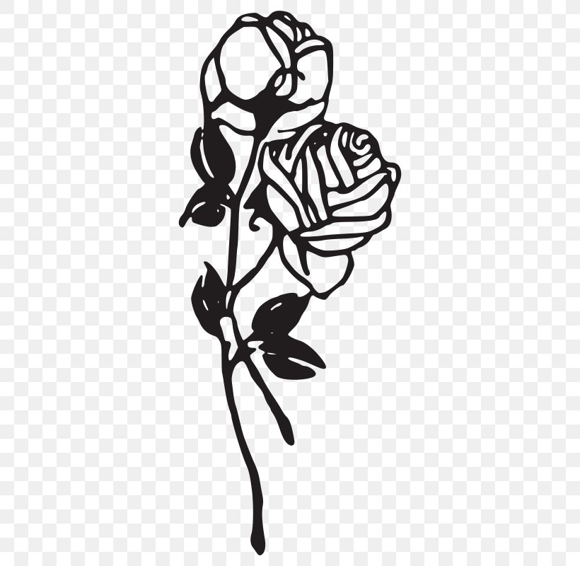 Black Rose Black And White Clip Art, PNG, 800x800px, Black Rose, Black, Black And White, Branch, Drawing Download Free