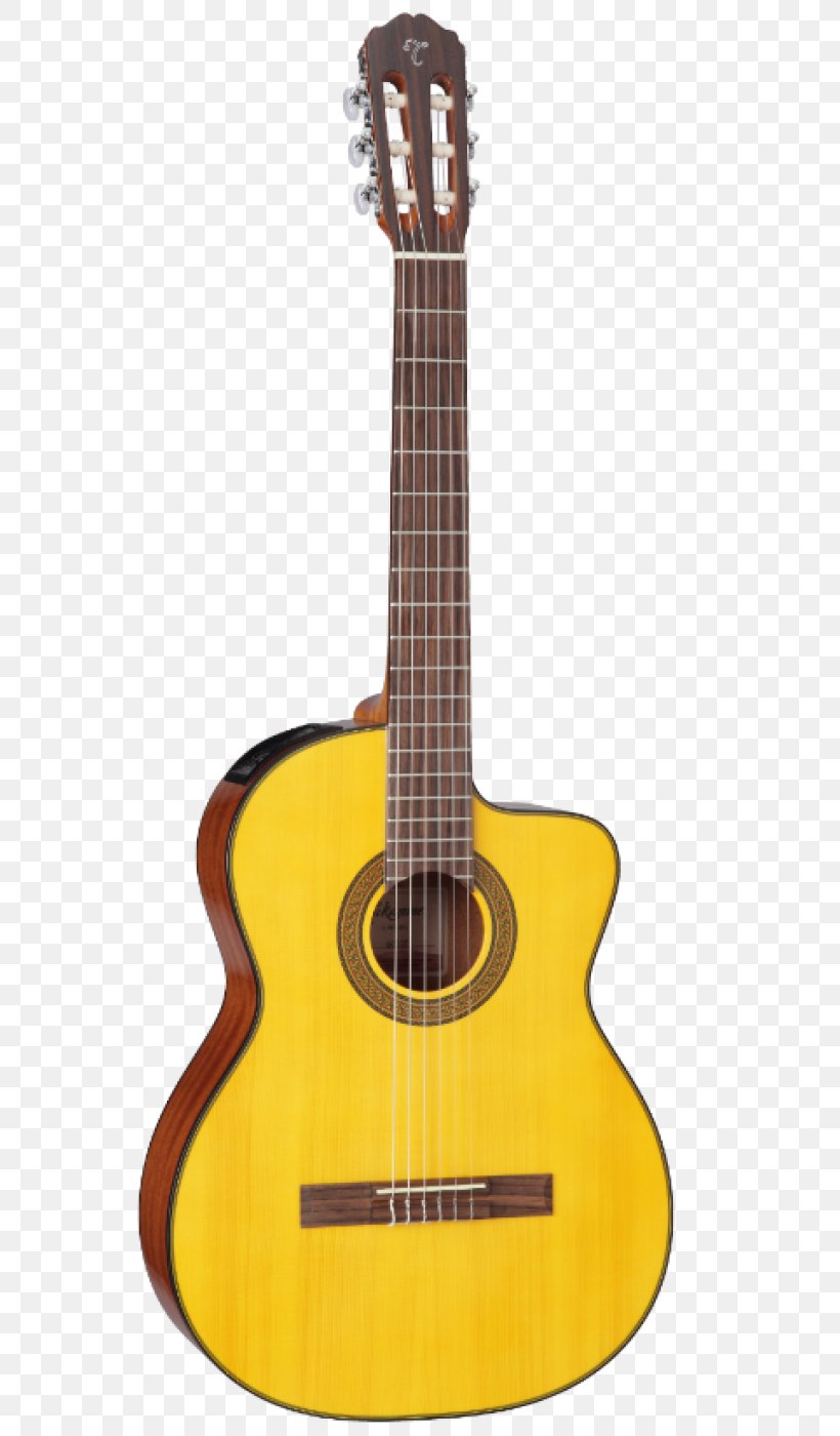 Classical Guitar Steel-string Acoustic Guitar String Instruments, PNG, 586x1400px, Watercolor, Cartoon, Flower, Frame, Heart Download Free