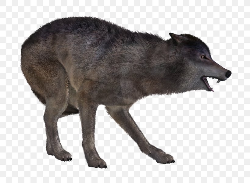 Coyote Dog Gray Wolf Snout, PNG, 756x600px, Coyote, Animal, Carnivoran, Dog, Dog Like Mammal Download Free