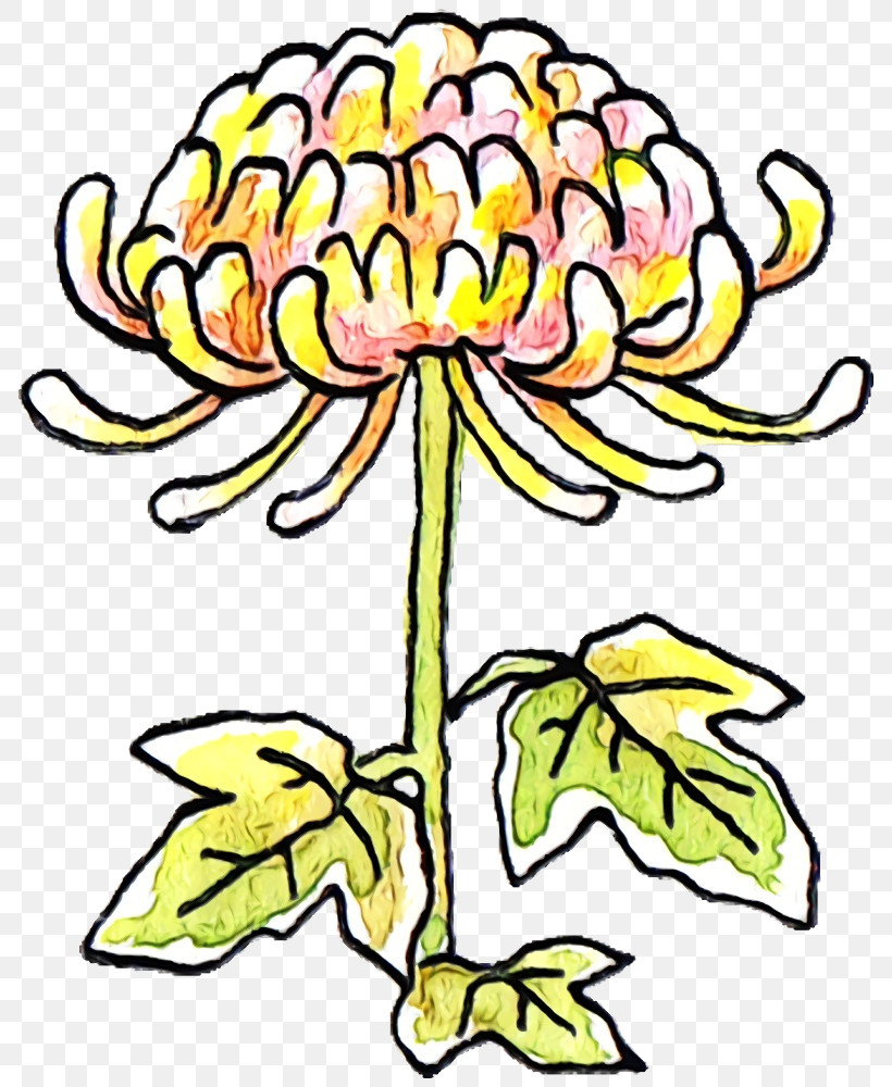 Floral Design, PNG, 790x1000px, Watercolor, Chrysanthemum, Cut Flowers, Floral Design, Flower Download Free