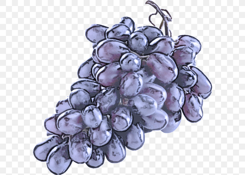 Grape Grapevine Family Vitis Fruit Seedless Fruit, PNG, 600x585px, Grape, Flower, Fruit, Grape Seed Extract, Grapevine Family Download Free