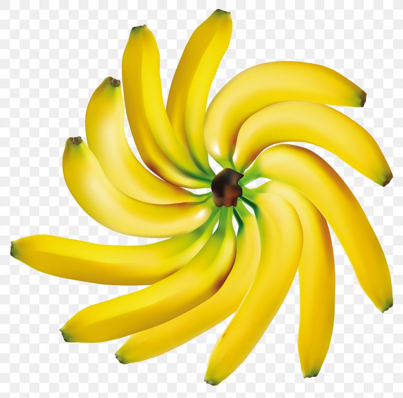 Banana Fruit Clip Art, PNG, 1899x1880px, Banana, Apple, Apricot, Banana Family, Banana Peel Download Free