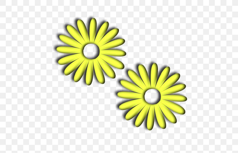 Common Sunflower Daisy Family Chrysanthemum Oxeye Daisy, PNG, 596x528px, Flower, Chrysanthemum, Chrysanths, Common Daisy, Common Sunflower Download Free