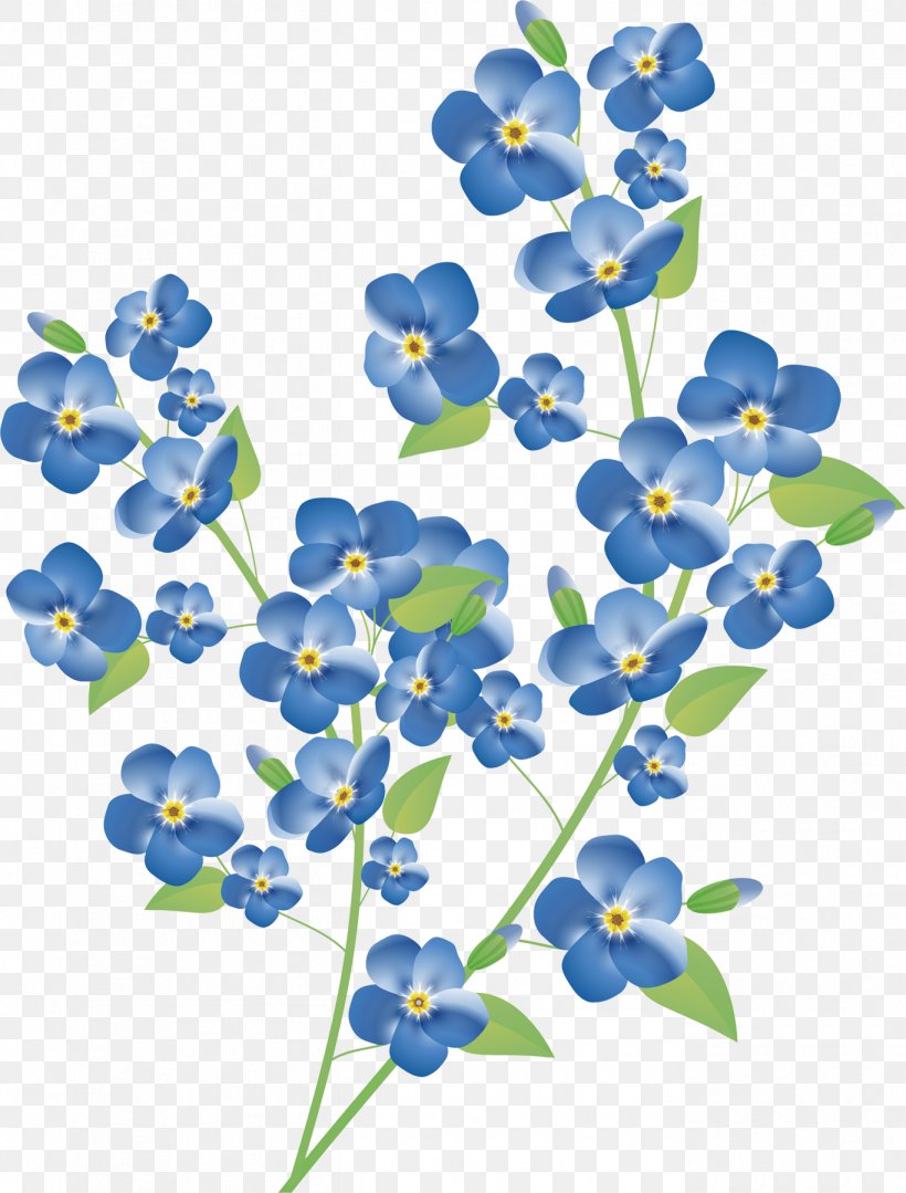 Flower Royalty-free Clip Art, PNG, 1367x1800px, Flower, Blue, Bluebonnet, Borage Family, Branch Download Free