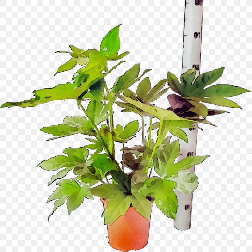 Flowerpot Leaf Houseplant Plant Stem Plants, PNG, 1098x1098px, Flowerpot, Anthurium, Aquarium Decor, Flower, Flowering Plant Download Free