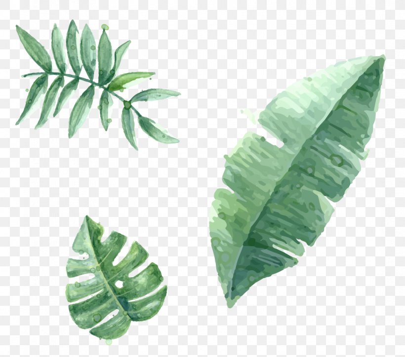 Leaf Green Euclidean Vector, PNG, 1086x959px, Leaf, Banana Leaf, Gratis, Green, Plant Download Free
