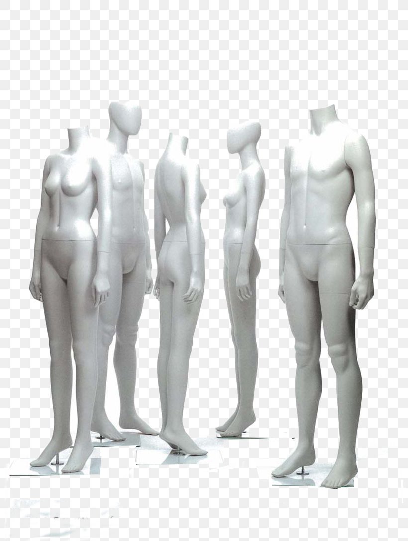 Mannequin Human Body Art Model, PNG, 800x1087px, Mannequin, Abstraction, Anatomy, Arm, Art Download Free