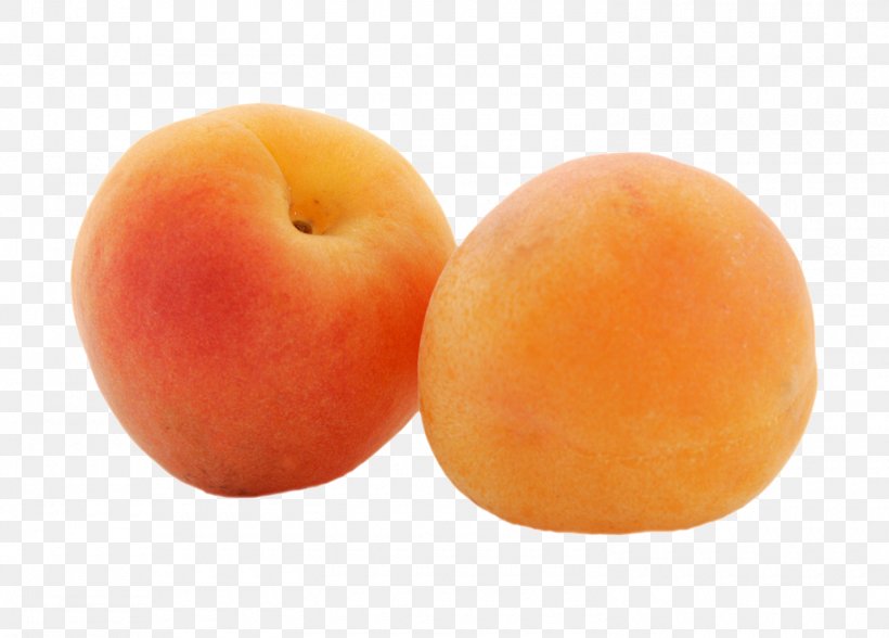 Peach Apricot Auglis Orange, PNG, 1500x1077px, Peach, Apricot, Auglis, Diet Food, Food Download Free