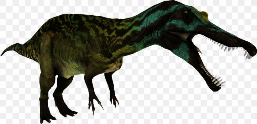 Zoo Tycoon 2 Tyrannosaurus Suchomimus Spinosaurus Irritator, PNG, 940x454px, Zoo Tycoon 2, Animal Figure, Austroraptor, Carnivora, Carnivoran Download Free