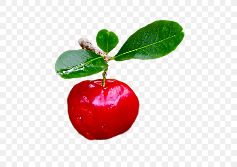 Barbados Cherry Ingredient Lingonberry Diabetes Mellitus, PNG, 600x579px, Barbados Cherry, Acerola, Acerola Family, Apple, Berry Download Free