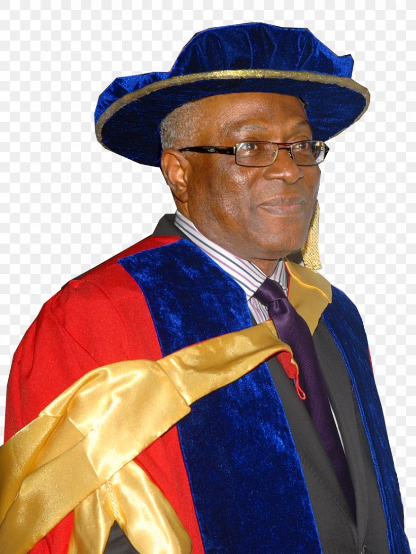 Chairman Nosak Group Hat Doctor Of Philosophy Salute, PNG, 867x1155px, Chairman, Academic Dress, Academician, Agriculture, Chief Executive Download Free