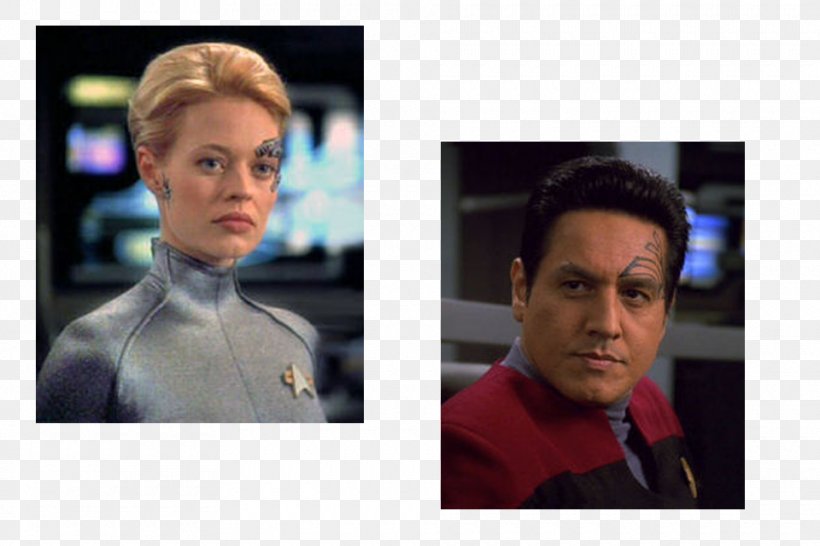 Seven Of Nine Star Trek: Voyager Star Trek: Deep Space Nine Chakotay Jeri Ryan, PNG, 960x640px, Seven Of Nine, Borg, Chakotay, Chin, Female Download Free